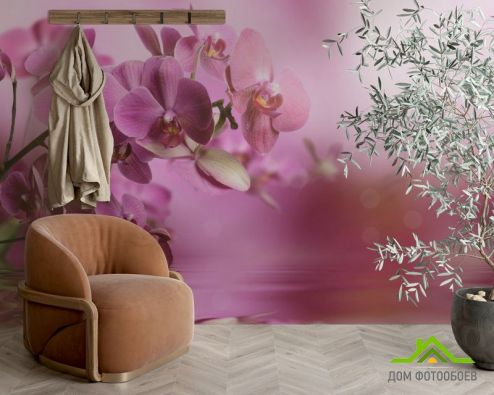 выбрать Фотообои розовые орхидеи над водой Фотообои Орхидеи на стену