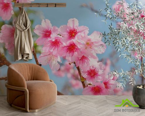 выбрать Фотообои яркие розовые цветочки на дереве Фотообои Фотообои Цветы: горизонталная, горизонтальная ориентация на стену