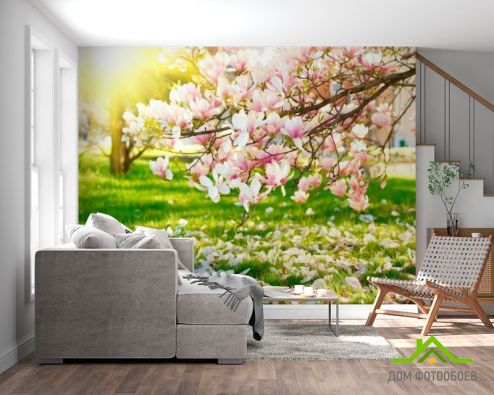 выбрать Фотообои Отцвели вишневые цветы Фотообои Фотообои Природа: горизонталная, горизонтальная, зелений, зеленый ориентация на стену