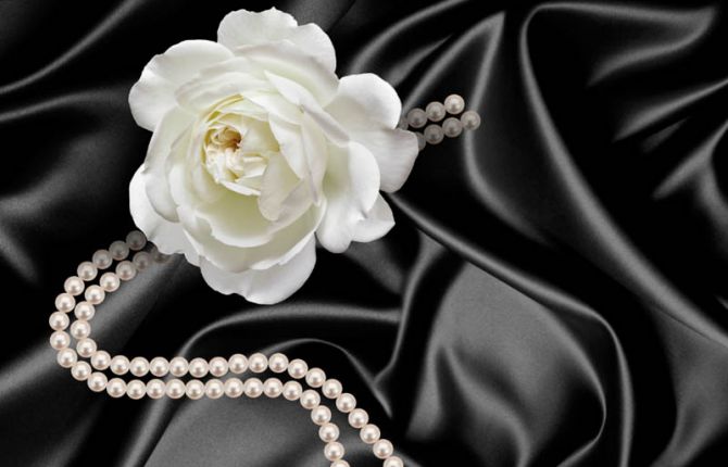 Фотошпалери Троянда з перлами