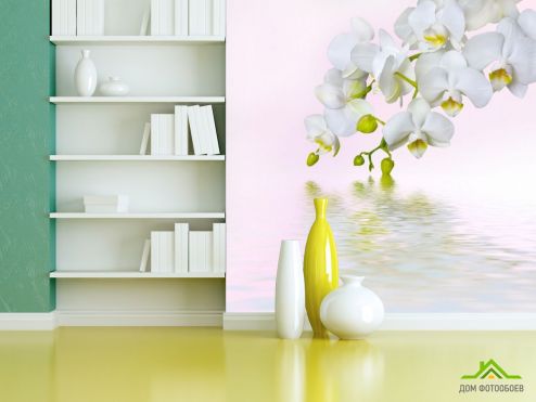 выбрать Фотошпалери біла орхідея над водою Фотошпалери Фотошпалери Квіти: квадратна орієнтація на стіну