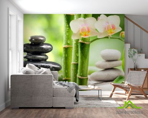 выбрать Фотообои Орхидея Фотообои Фотообои Цветы: горизонталная, горизонтальная, зелений, зеленый ориентация на стену