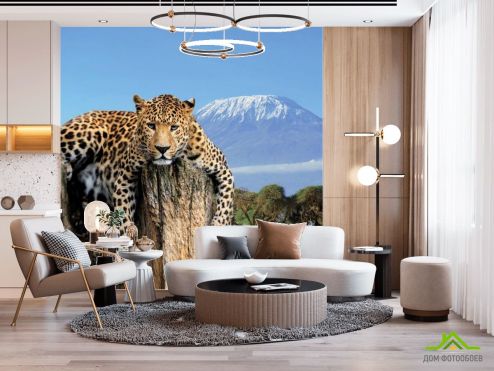 выбрать Фотошпалери Леопард Фотошпалери Тварини на стіну
