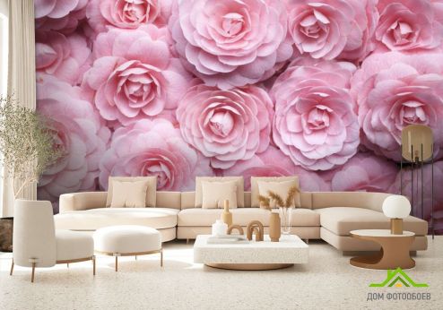 выбрать Фотообои широкие розы Фотообои Фотообои Цветы: горизонталная, горизонтальная ориентация на стену