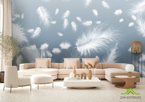 выбрать Фотообои Белые перья на голубом фоне Фотообои перья на стену