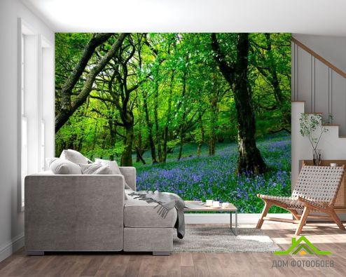 выбрать Фотообои Между деревьями цветы Фотообои Фотообои Природа - Весна, зелений, зеленый на стену