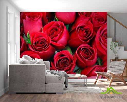 выбрать Фотообои красные розы Фотообои Розы на стену