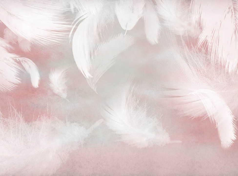 выбрать Фотошпалери Пір'я на рожевому тлі Каталог фотошпалер на стіну