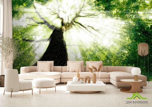выбрать Фотообои Дерево, свет Фотообои Фотообои Природа: фото, зелений, зеленый  на стену