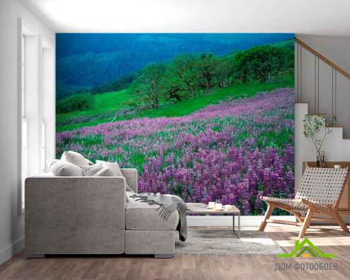 выбрать Фотообои Гармония на луке Фотообои Фотообои Природа: горизонталная, горизонтальная, фиолетовый ориентация на стену
