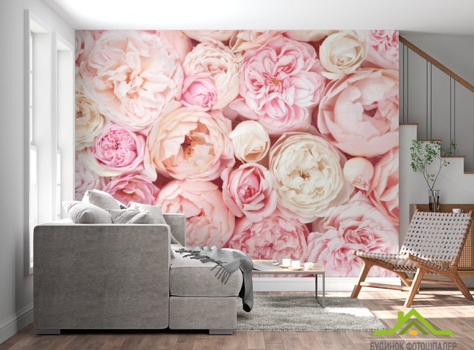 выбрать Фотошпалери Пудрові бутони півоній Каталог фотошпалер на стіну