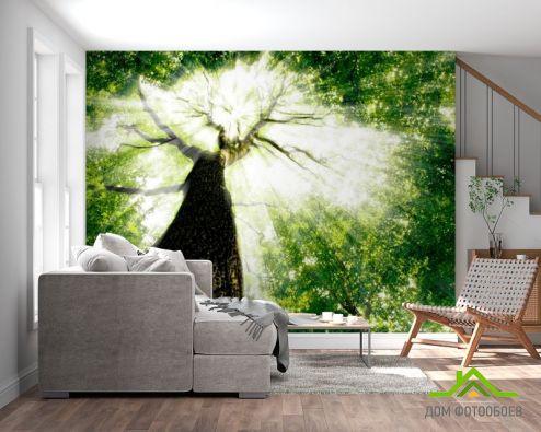 выбрать Фотообои Дерево, свет Зеленые фотообои на стену