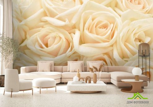 выбрать Фотообои кремовые розы Фотообои Розы на стену