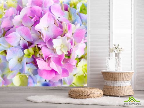 выбрать Фотообои Растровые цветы Фотообои Цветы на стену