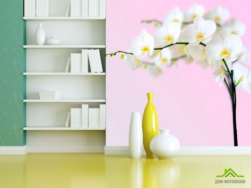 выбрать Фотошпалери Гілочка орхідей білосніжних Фотошпалери Фотошпалери Орхідеї: квадратна орієнтація на стіну