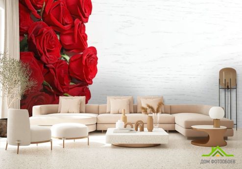 выбрать Фотошпалери червоні троянди на білому тлі Фотошпалери Квіти на стіну