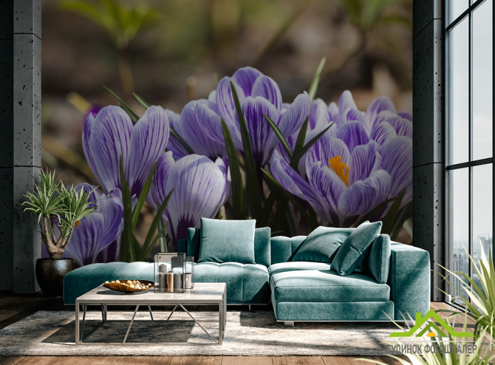выбрать Фотообои Крокусы фиолетовые Каталог фотообоев на стену