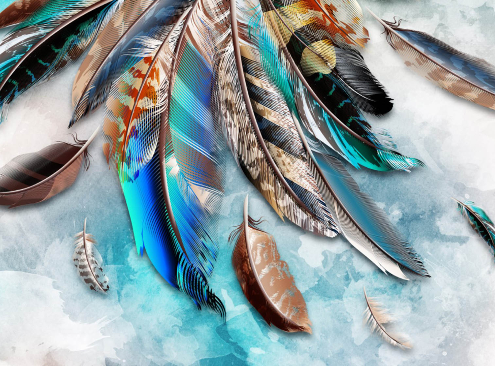 выбрать Фотошпалери Кольорові пір'я Каталог фотошпалер на стіну