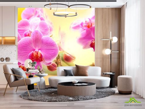выбрать Фотообои розовые орхидеи на желтом фоне Фотообои Фотообои Цветы:  на стену