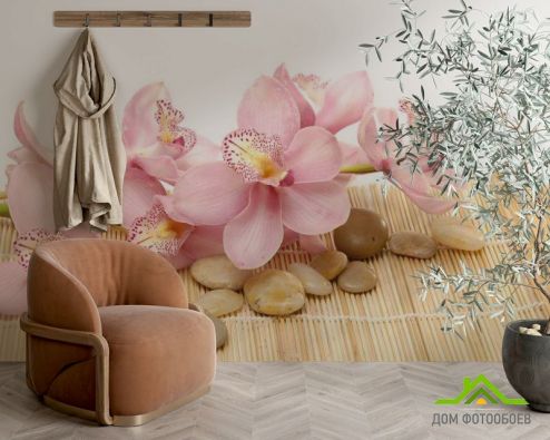 выбрать Фотообои Орхидея Фотообои Фотообои Цветы: фото, розовый  на стену