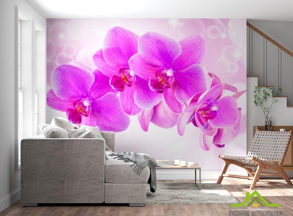выбрать Фотошпалери Орхідеї Каталог фотошпалер на стіну