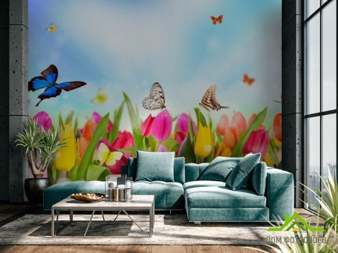 выбрать Фотошпалери Тюльпани, поле, метелики Фотошпалери Фотошпалери Квіти: квадратна, горизонтальна, блакитний орієнтація на стіну