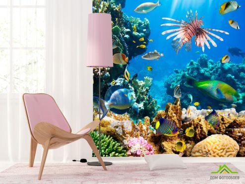 выбрать Фотошпалери Підводні корали Фотошпалери Фотошпалери Риби і море: квадратна орієнтація на стіну