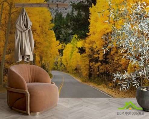 выбрать Фотообои Дорога в осень Фотообои Фотообои Природа: фото, желтый  на стену
