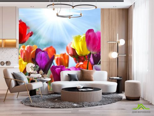 выбрать Фотошпалери Різнокольорові тюльпани Фотошпалери Квіти на стіну