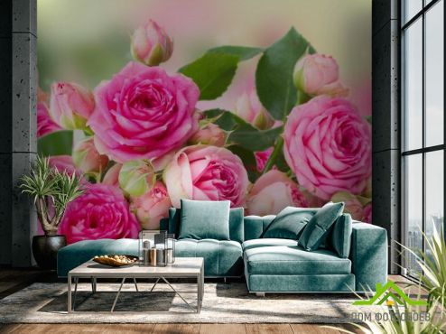 выбрать Фотообои чайная роза Фотообои Цветы на стену