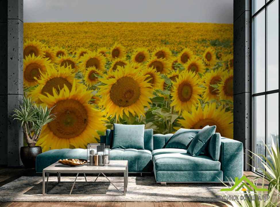 выбрать Фотообои поле с подсолнухами Каталог фотообоев на стену