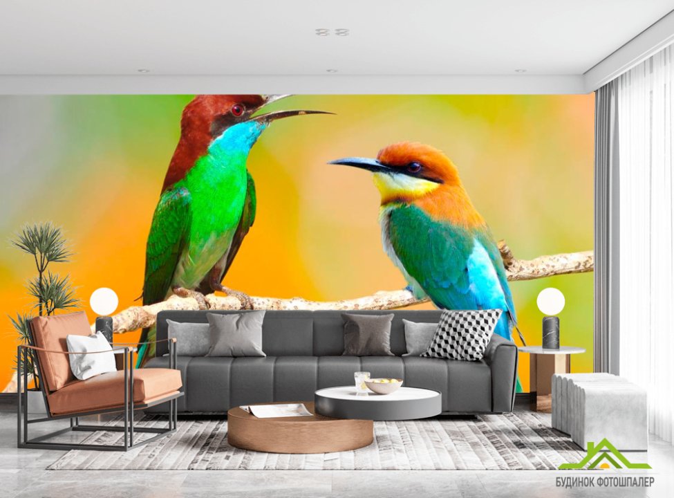 выбрать Фотообои Колибри на ветке Каталог фотообоев на стену