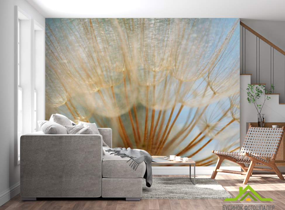 выбрать Фотошпалери Макро-зйомка кульбаба Фотошпалери Кульбаби на стіну