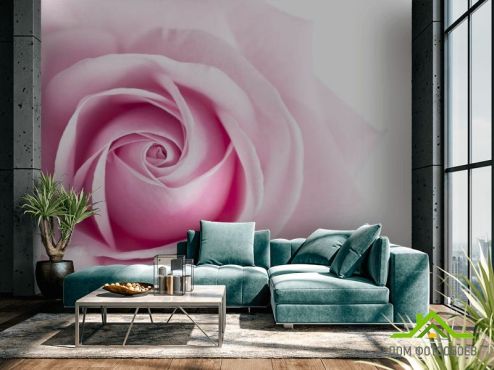 выбрать Фотошпалери Рожевий бутон троянди  на стіну