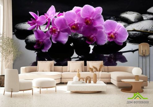 выбрать Фотообои Ветка орхидеи на камнях Фотообои Фотообои Орхидеи: фото, горизонталная, горизонтальная  на стену