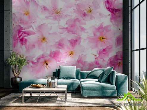 выбрать Фотообои Акварельные цветы Розовые фотообои на стену