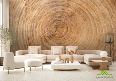 выбрать Фотообои Дерево в разрезе Фотообои Фотообои Лофт: горизонталная, горизонтальная ориентация на стену