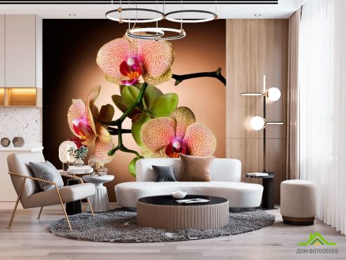 выбрать Фотошпалери Гілочка кремових орхідей Фотошпалери Орхідеї на стіну
