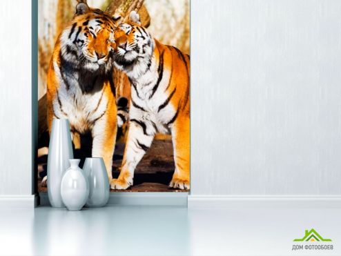 выбрать Фотообои Любовь тигров Фотообои, цвет: «вертикальная» на стену