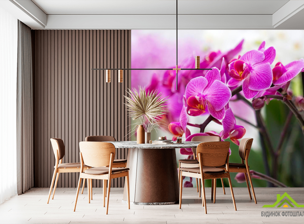 выбрать Фотообои Орхидеи соцветие Каталог фотообоев на стену