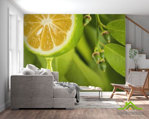 выбрать Фотообои Яркий лимон Фотообои Еда и напитки на стену