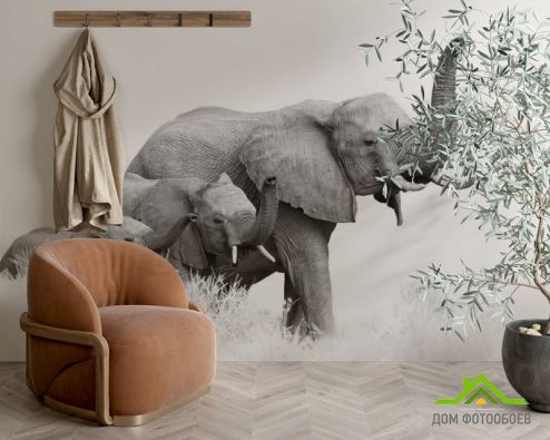 выбрать Фотообои семья слонов Фотообои Животные на стену