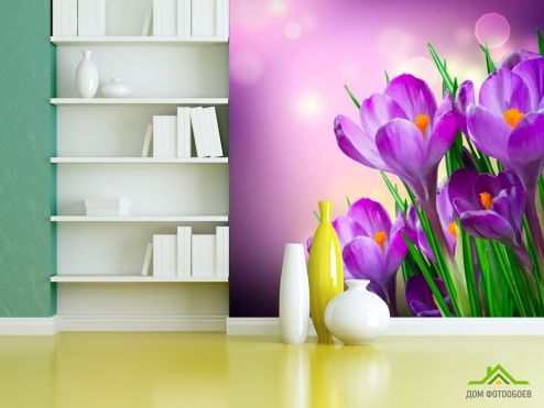 выбрать Фотошпалери Проліски крупний план Фотошпалери Фотошпалери Квіти: фіолетовий на стіну