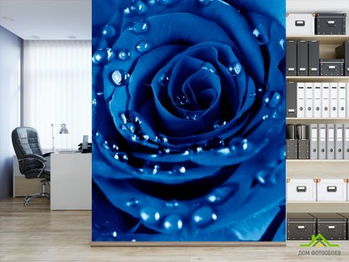 выбрать Фотошпалери Роза яскраво-синя Сині фотошпалери на стіну