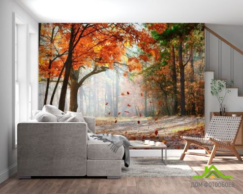 выбрать Фотообои Падают листья Фотообои Фотообои Природа - Осень на стену