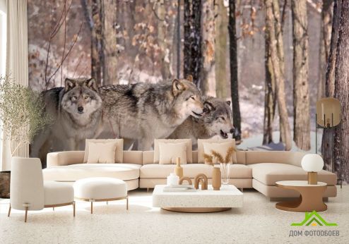 выбрать Фотошпалери вовки в лісі Фотошпалери Фотошпалери Тварини: квадратна, горизонтальна орієнтація на стіну
