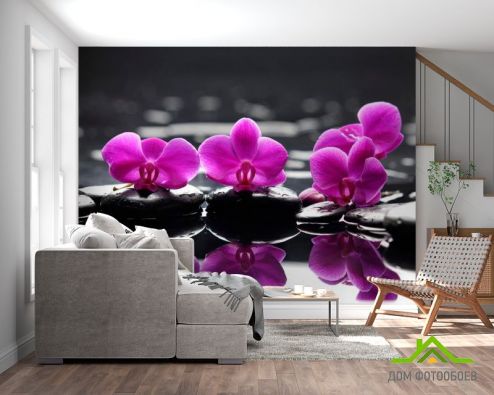 выбрать Фотообои Орхидеи малинового цвета Розовые фотообои на стену