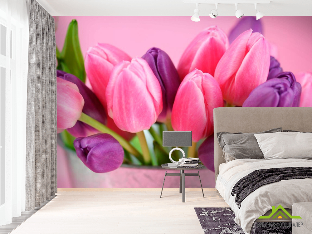 Фотообои Розовые и фиолетовые тюльпаны