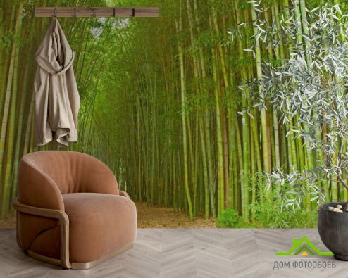 выбрать Фотообои Много бамбука Фотообои Фотообои Природа: горизонталная, горизонтальная, Лето ориентация на стену