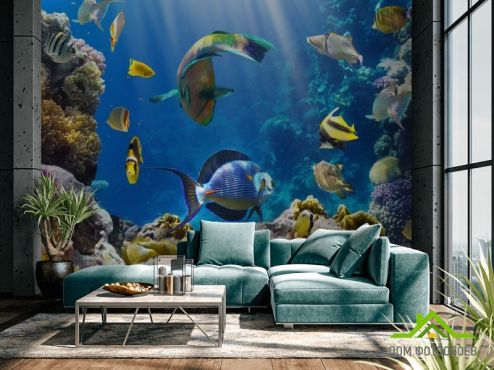 выбрать Фотообои Рыбки под водой Фотообои, цвет: «» на стену